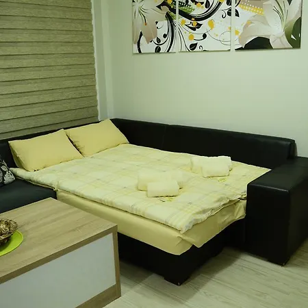 Elegant Apartment